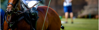 POLO PROTECTIVE GEAR: ELBOW AND KNEE GUARDS