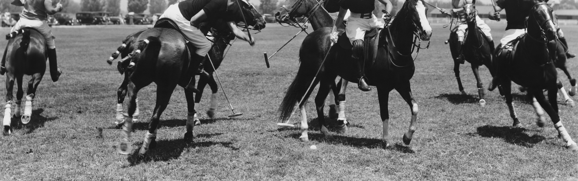 https://teamwear.kronopolo.com/image/cache/catalog/Blog/polo-horses-stop-better-1903x596.png